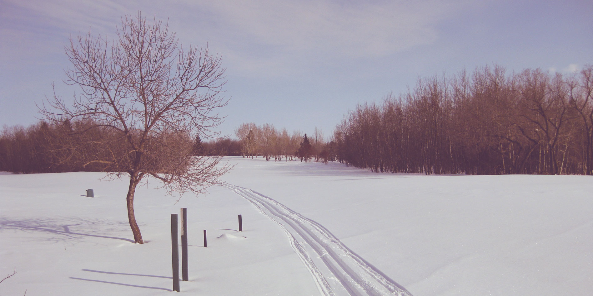 lloydminster-golf-curling-centre-skiing